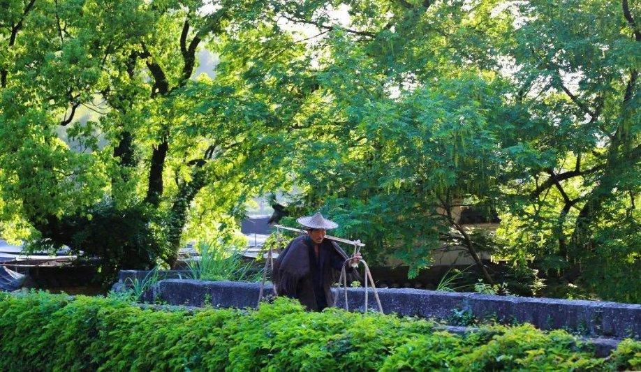 南京：老城扮靓焕发文旅新活力